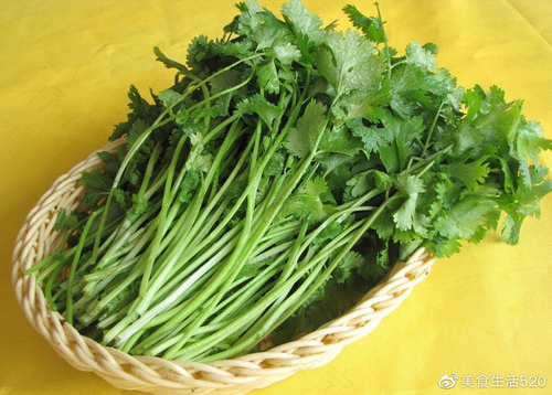 肠胃不好能吃什么青菜?