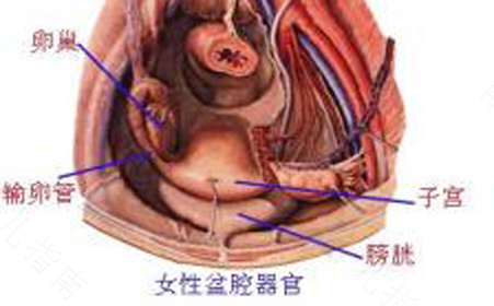 盆腔炎腹膜炎有哪些症状 盆腔炎腹膜炎有哪些症状