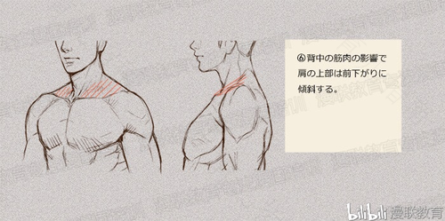 肩膀肌肉劳损怎么治 肩膀肌肉劳损怎么治