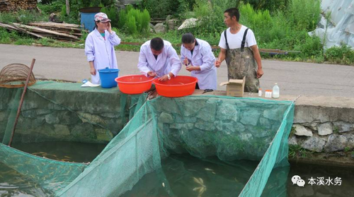 打完流感疫苗吃鱼了怎么办 打完流感疫苗吃鱼了怎么办