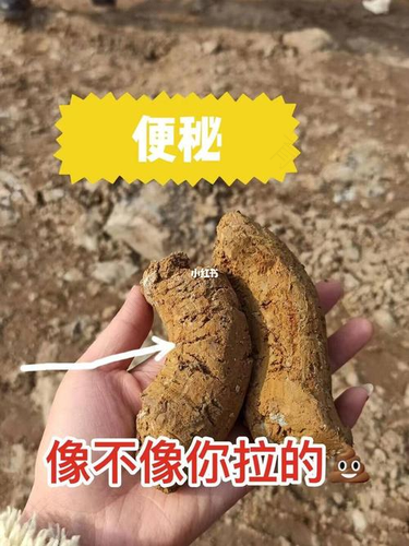 大便秘结是怎么回事啊 大便秘结是怎么回事啊