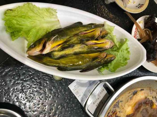 拉肚子能不能吃鱼肉 拉肚子能不能吃鱼肉