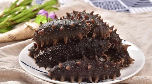 胆固醇高能不能吃海参? 胆固醇高能不能吃海参?