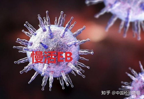 eb病毒会引起反复发烧吗 eb病毒会引起反复发烧吗
