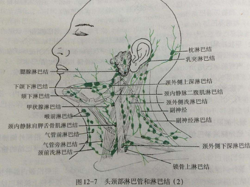 得了淋巴结核怎么办核 得了淋巴结核怎么办核