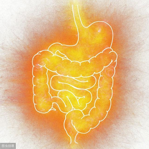 消化功能不好怎样调理食疗 消化功能不好怎样调理食疗