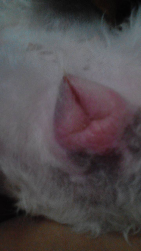 小便刺痛出血是怎么回事 小便刺痛出血是怎么回事