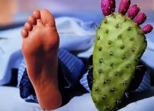 痛风能不能吃瓜子仁 痛风能不能吃瓜子仁