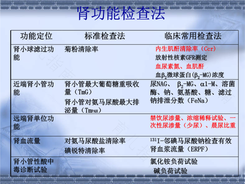 怎样检查肾功能? 怎样检查肾功能?