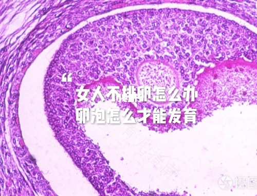 切除子宫就不会崩漏吗