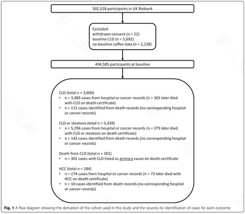 慢性乙肝可以喝咖啡吗 慢性乙肝可以喝咖啡吗