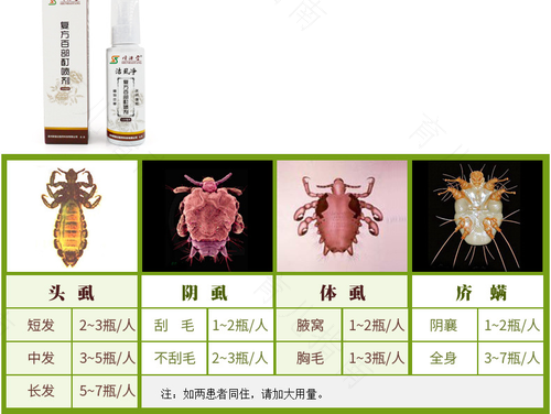 阴虱最怕什么东西 阴虱最怕什么东西