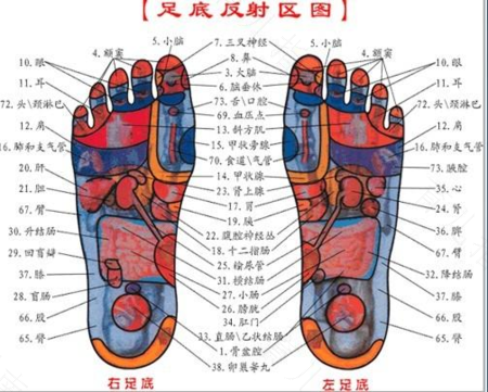 干咳按摩足底肺部反射区好了