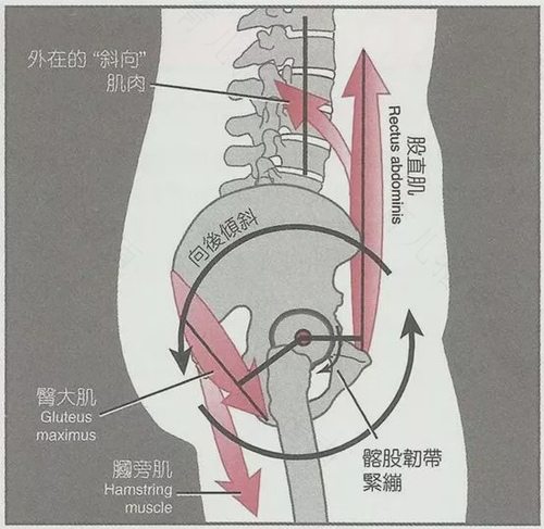 腰部盆骨酸痛怎么回事 腰部盆骨酸痛怎么回事