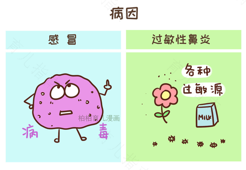 过敏和感冒怎么区分 过敏和感冒怎么区分