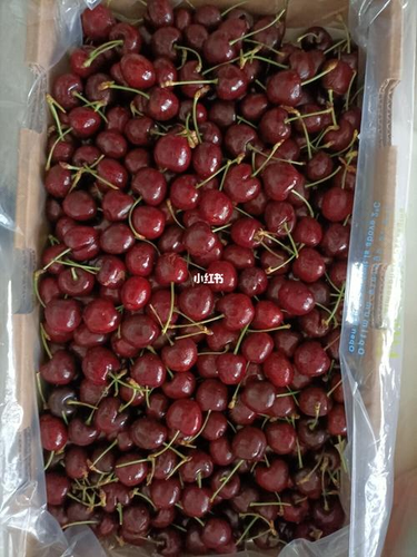 拉肚子能不能吃车厘子吗 拉肚子能不能吃车厘子吗