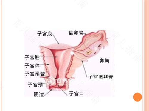 子宫内膜炎会传染吗