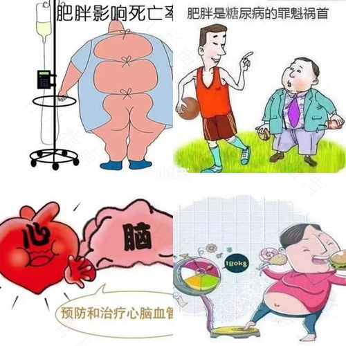 为什么胖人也会贫血 为什么胖人也会贫血