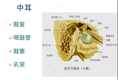 左耳乳突炎症怎么治疗 左耳乳突炎症怎么治疗