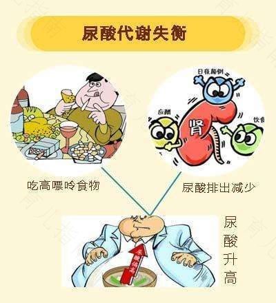 什么情况会导致尿酸变高
