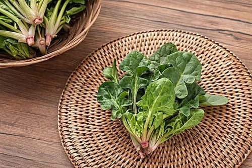 感冒了能不能吃菠菜 感冒了能不能吃菠菜