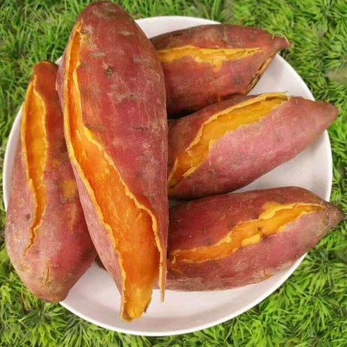 小孩发烧能不能吃红薯 小孩发烧能不能吃红薯