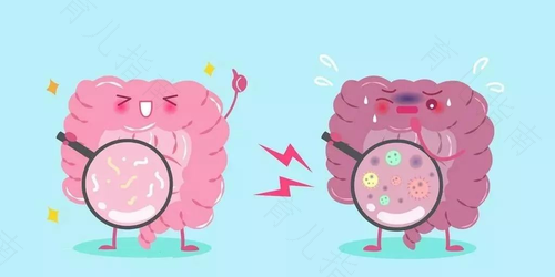 做b超检查胆囊需要空腹吗 做b超检查胆囊需要空腹吗