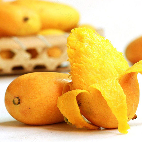 感冒发烧能不能吃芒果干 感冒发烧能不能吃芒果干