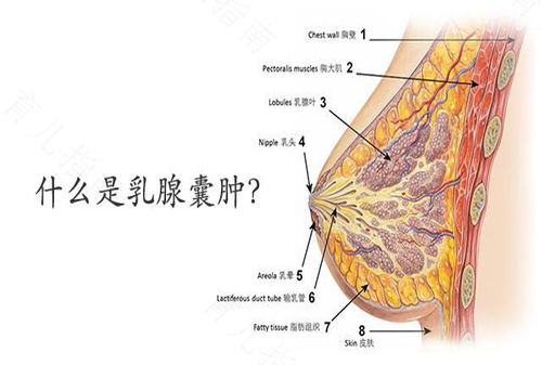 右侧乳腺囊肿严重吗 右侧乳腺囊肿严重吗