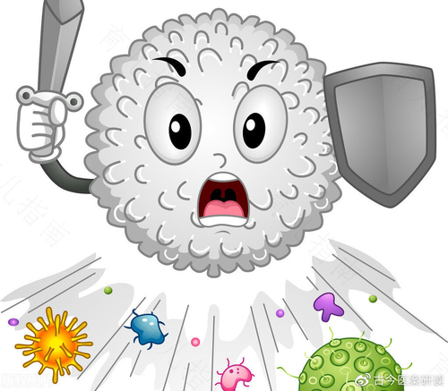 动物的病毒可以传染给人吗 动物的病毒可以传染给人吗