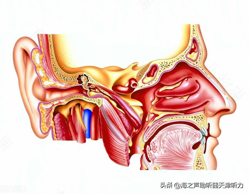 中耳炎治疗最佳方法用什么药 中耳炎治疗最佳方法用什么药