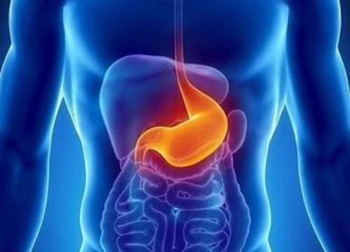 感觉胃部硬硬的是怎么回事