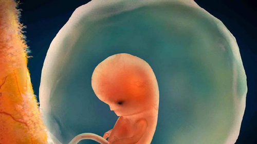 孕妇生气会对宝宝造成什么影响 孕妇生气会对宝宝造成什么影响