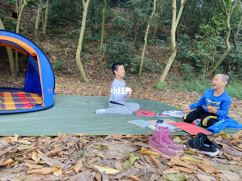 带孩子去森林 带孩子去森林