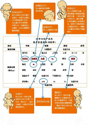每次b超检查与孕周不符 每次b超检查与孕周不符