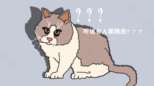 踢猫效应说明糟糕的情绪会像瘟疫一样在人群中传染 踢猫效应说明糟糕的情绪会像瘟疫一样在人群中传染