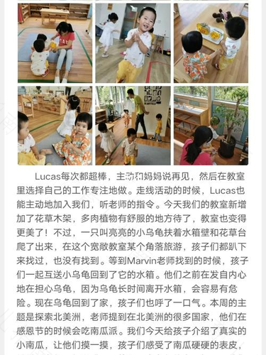 蒙特梭利幼儿园一日流程参考