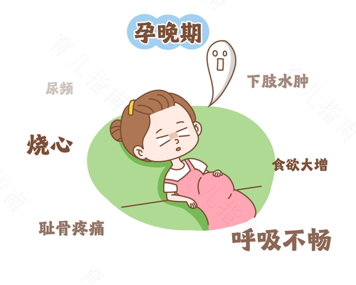 孕晚期身体会出现哪些症状 孕晚期身体会出现哪些症状