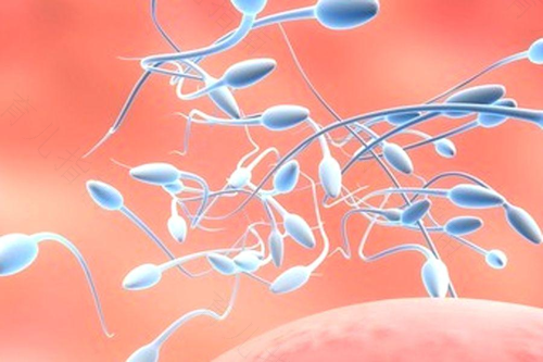 感冒发烧会影响精子质量吗 感冒发烧会影响精子质量吗