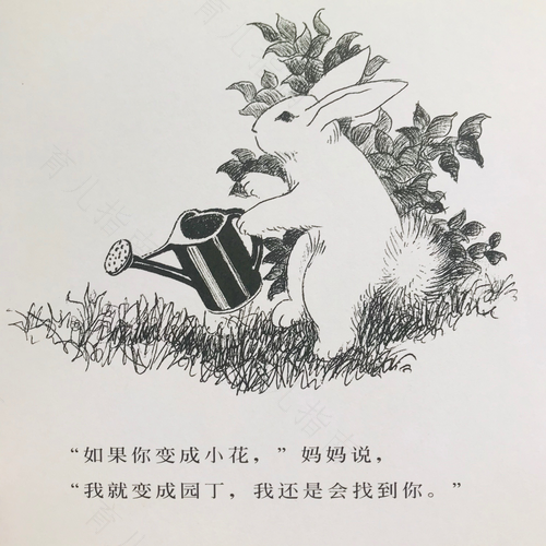 逃家小兔语言教案
