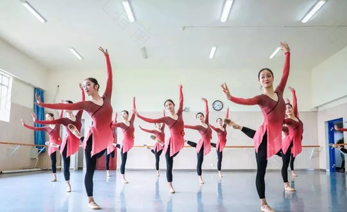 杂技和舞蹈的区别