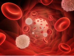 脐带血能治疗自闭症儿童吗 脐带血能治疗自闭症儿童吗