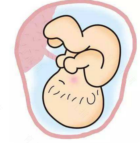 孕妇脐带绕颈一周危险吗 孕妇脐带绕颈一周危险吗