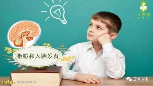 孩子体内含铅高有什么影响 孩子体内含铅高有什么影响