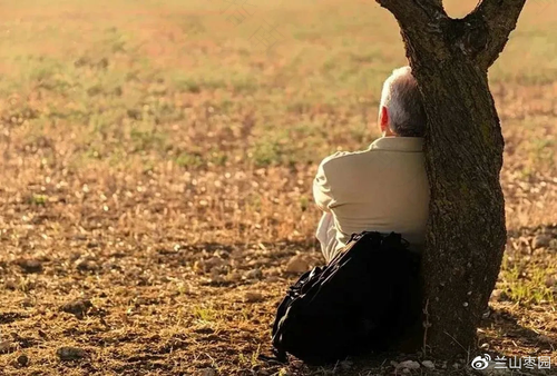 对父母报喜不报忧的坏处 对父母报喜不报忧的坏处