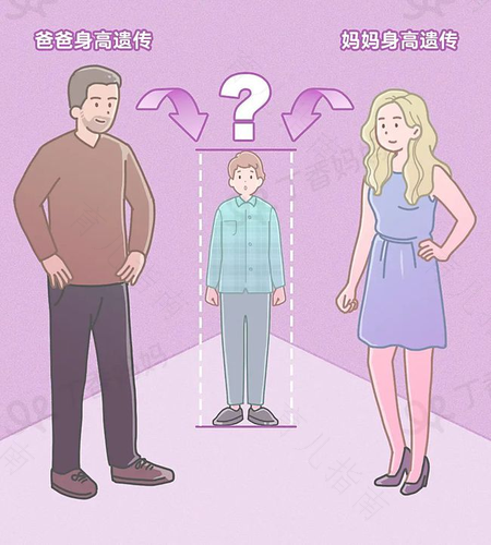 儿童身高增长的两个高峰期 儿童身高增长的两个高峰期