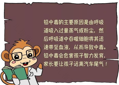 为什么孩子容易铅中毒