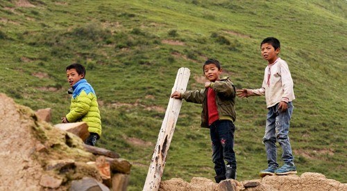 高原现象的主要原因 高原现象的主要原因