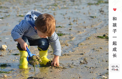 最简单的鸡蛋饼做法 最简单的鸡蛋饼做法