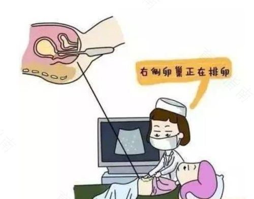 备孕 全方位武装